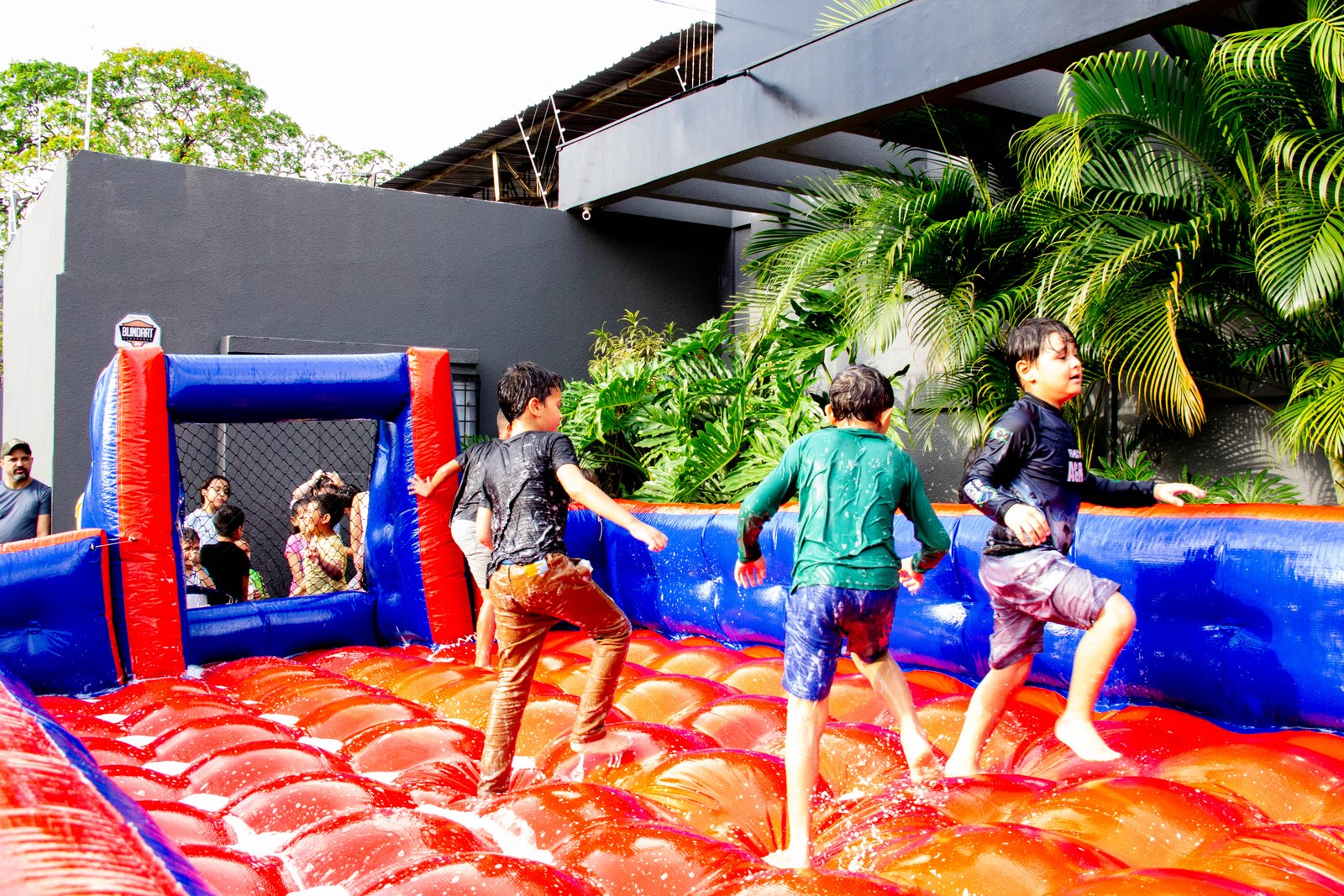 Foto